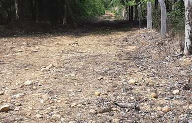 Imagem 11: Tenho um Ótimo Terreno de 18500 mts.no Lago do Peixe TO