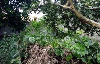 Imagem 16: Terreno à venda, 400 m² por R$ 450.000 - Jardim Santo Alberto - Santo...