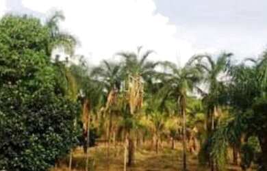 Imagem 5: Rural, Residencial Linda Vista, Goiânia - GO 682678