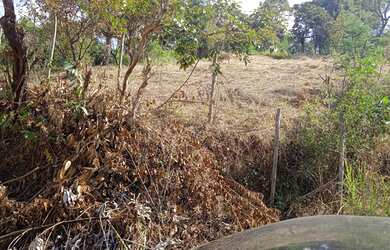 Imagem 2: Lote em igarape. 590m² de Área