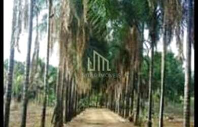 Imagem 4: Rural, Residencial Linda Vista, Goiânia - GO 682678