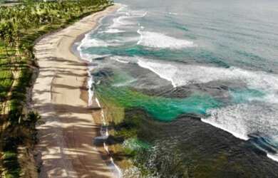 Imagem 2: Lote/Terreno para venda com 600 metros quadrados em Praia do Forte - Mata...