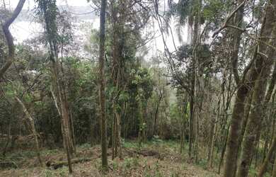 Imagem 6: Lote/Terreno para venda possui 484 metros quadrados em Riviera Paulista...