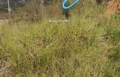 Imagem: O terreno possui 731m² de Área e está localizado em Veraneio