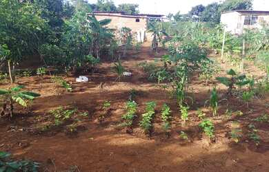 Imagem 11: Cháchara Jardim são José