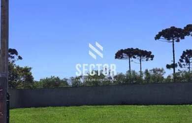 Imagem 2: Terreno à venda em Colônia Murici - São José dos Pinhais