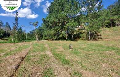 Imagem 10: Lote/Terreno para venda com 600 metros quadrados em Jardim Pinheiro -...