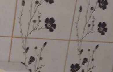 Imagem: O quarto e está localizado em Cidade Nova, Manaus para alugar