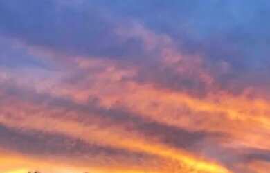 Imagem 4: LOTE NO MAIKAI -. 45m² de Área