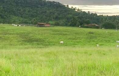 Imagem: A fazenda possui 480m² de Área e está localizado em São