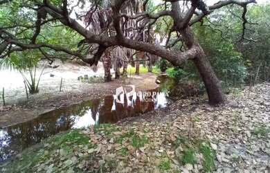 Imagem 10: Terreno à venda, 14546 m² por R$ 730.000 - Padre Julio Maria - Caucaia/CE