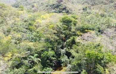 Imagem 4: Fazenda de compensação de Carbono ou reserva legal em Itacambira MG,...