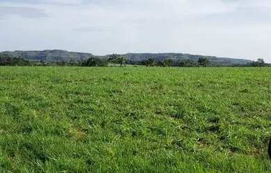Imagem: A fazenda está localizado em Plano Diretor Sul, Palmas à venda