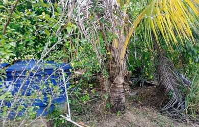 Imagem 9: Casa em Simões Filho. Churrasqueira, Imóvel mobiliado, Varandae130m²...