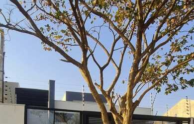 Imagem: A casa possui 3 Dormitórios, 2 Banheiros, 4 Vagas na garagem