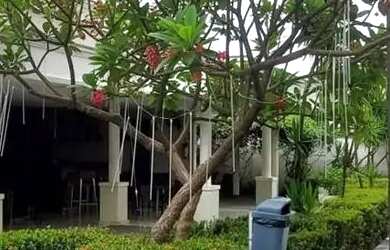 Imagem 5: Apartamento para Venda em Cuiabá, Porto, 3 dormitórios, 1 suíte, 2...