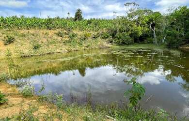 Imagem 5: Sitio 13 ha Porteira Fechada