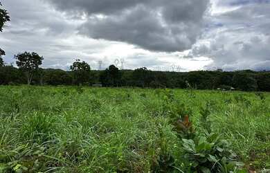 Imagem 14: Fazenda Niquelandia. 1.580.000m² de Área