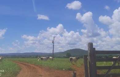 Imagem: A fazenda possui 800m² de Área e está localizado em Centro