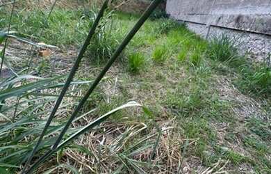 Imagem 7: Lote a Venda Santa Rosa. 360m² de Área