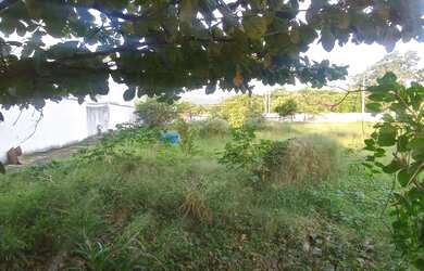 Imagem: O terreno possui 754m² de Área e está localizado em Campo