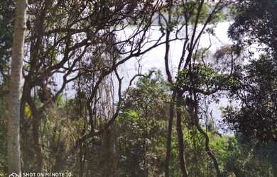 Imagem 1: Lote/Terreno para venda possui 484 metros quadrados em Riviera Paulista...