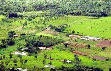 Imagem: A fazenda está localizado em Rio Branco, AC à venda por R$800.000