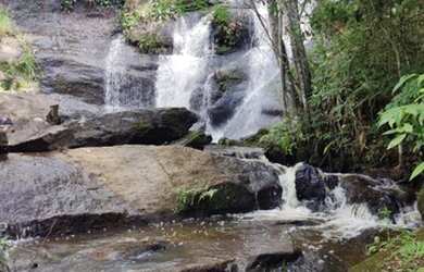 Imagem 2: Lote/Terreno para venda tem 600 metros quadrados em Jardim Santa Maria - Jacareí - SP