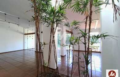 Imagem 9: Casa térrea na rua 3 dormitórios/suite, cozinha planejada