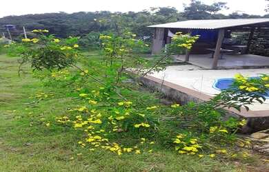 Imagem: O terreno possui 1000m² de Área e está localizado em Setor