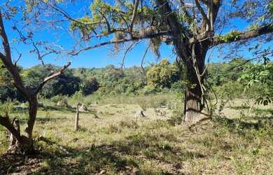 Imagem: A fazenda à venda possui e está localizado em Florestal