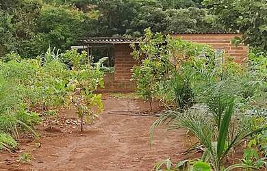 Imagem 15: Cháchara Jardim são José