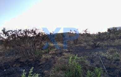 Imagem 5: DIVINÓPOLIS - Terreno - LAGOA PARK