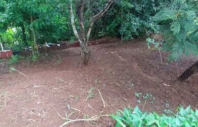 Imagem 3: Cháchara Jardim são José