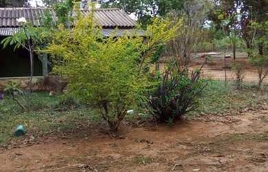 Imagem: A fazenda possui 290.000m² de Área e está localizado em