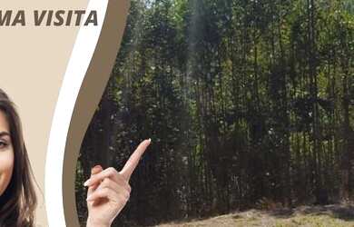 Imagem 2: Lote/Terreno para venda com 20000 metros quadrados em Jardim Bela Vista...