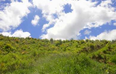 Imagem 5: Venha obter um terreno. 500m² de Área