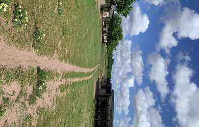 Imagem 11: Fazenda/Sítio/Chácara para venda FAZENDA BELO VALE 105 hectares Casa...