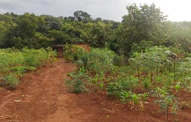 Imagem 13: Cháchara Jardim são José