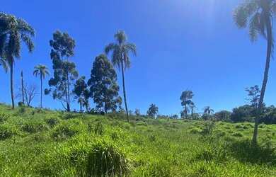 Imagem: O terreno possui 1.000m² de Área e está localizado em Terras