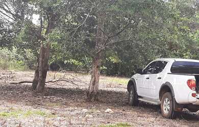 Imagem 7: Tenho um Ótimo Terreno de 18500 mts.no Lago do Peixe TO