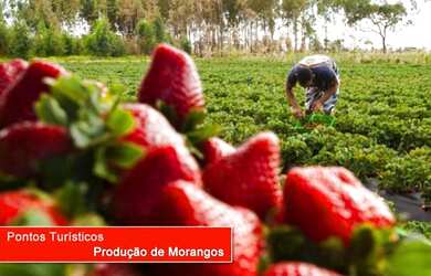 Imagem 7: Terreno à venda 11421M², Vila Santista, Atibaia - SP