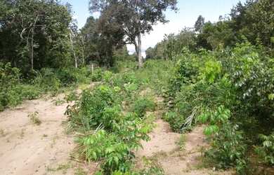 Imagem: Tenho um Ótimo Terreno de 18500 mts.no Lago do Peixe TO