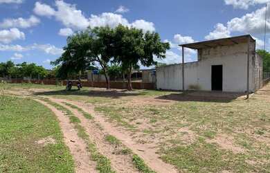 Imagem 10: Fazenda/Sítio/Chácara para venda FAZENDA BELO VALE 105 hectares Casa...