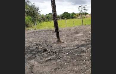 Imagem 4: Terreno. 600m² de Área