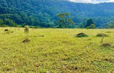 Imagem 1: 32R-Lote/Terreno para venda tem 500 metros quadrados em Jardim Brasil...