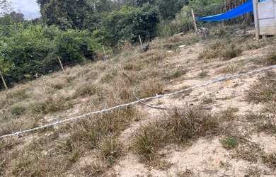 Imagem 16: Fazenda itaberai. 