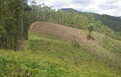 Imagem 6: Saia do aluguel. 1.000m² de Área