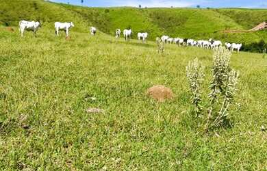 Imagem 10: 32R-Lote/Terreno para venda tem 500 metros quadrados em Jardim Brasil...