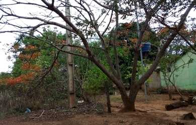 Imagem 2: Vende-se chácara no municipio de Arinos